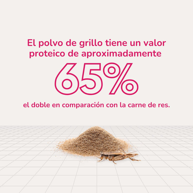 Polvo de Grillo
